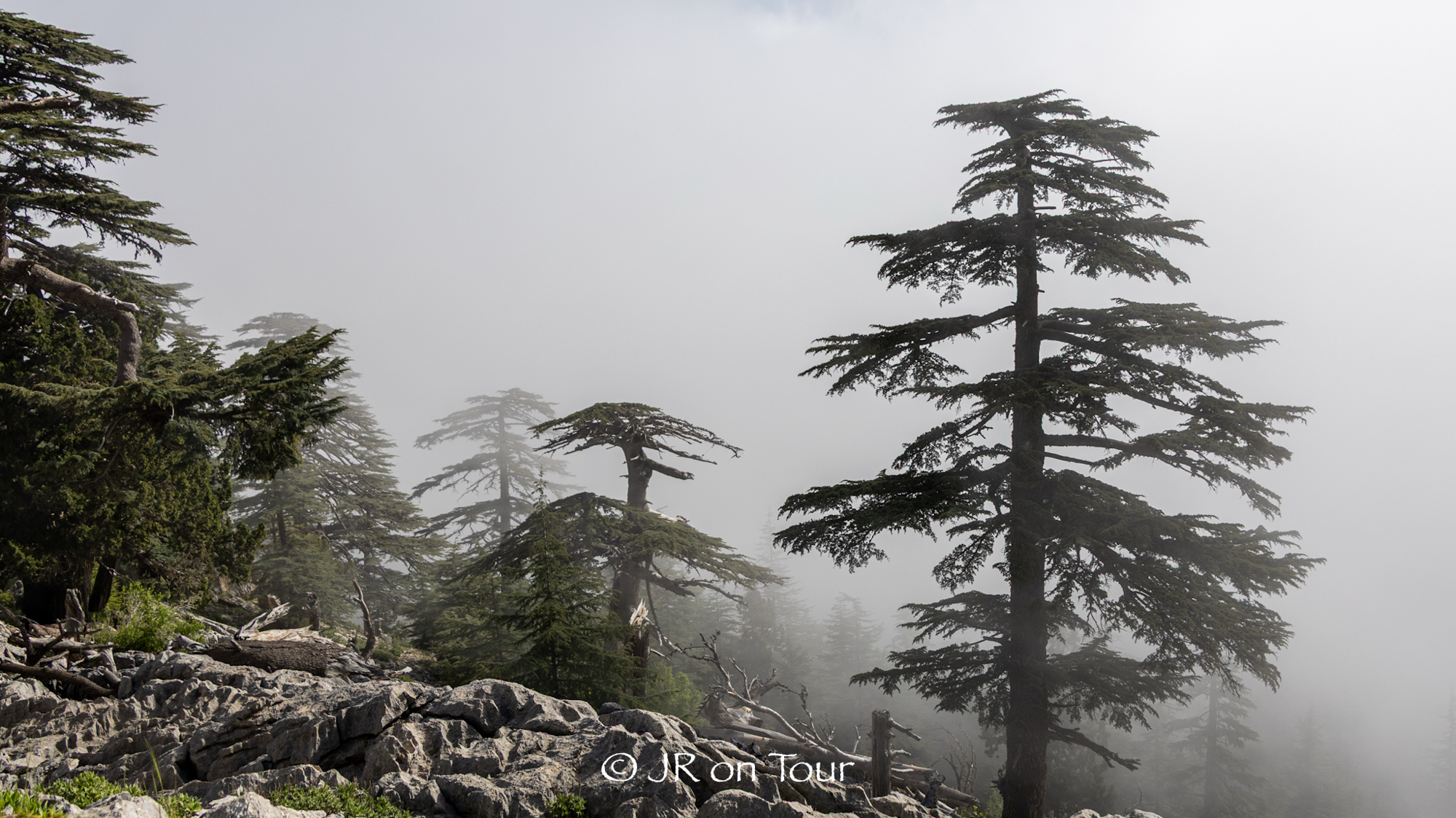 Lykischer Weg – Tag 18: Tahtali Pass – Göynük Yaylasi